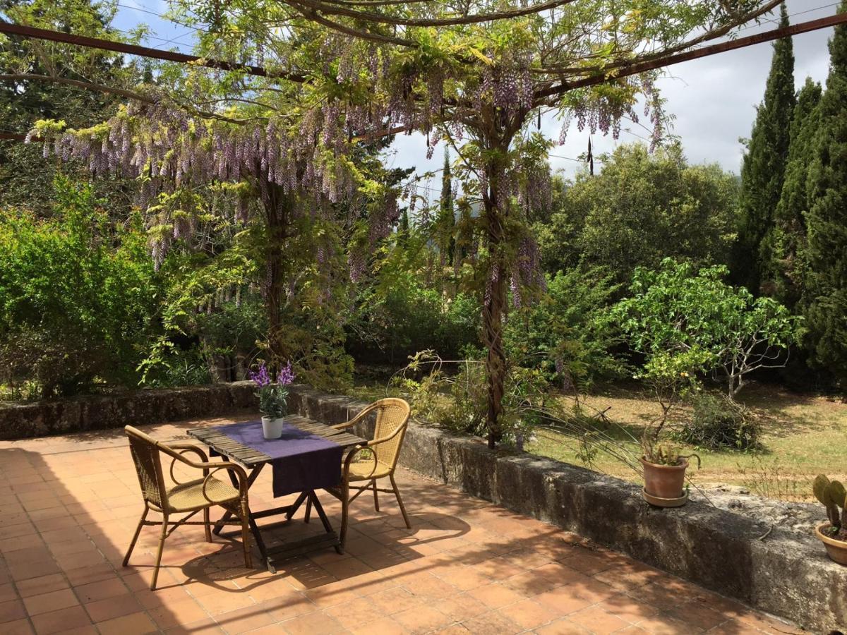 Trui Teresa Chalet Pollença